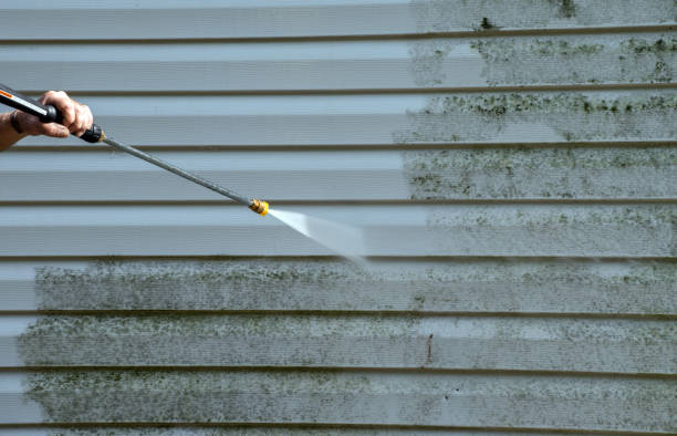 Best Certified Mold Removal  in Providence Village, TX