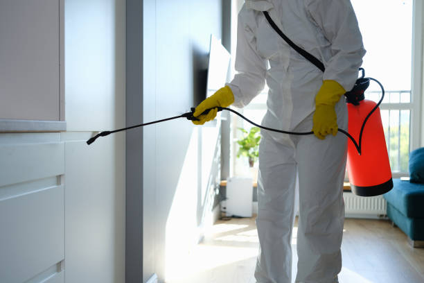 Best Emergency Mold Removal  in Providence Village, TX