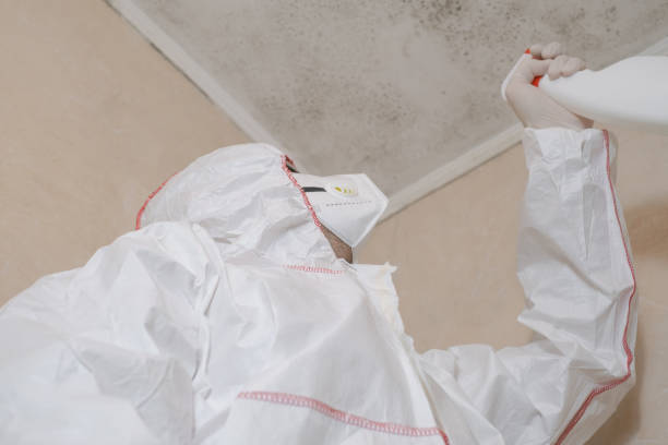 Best Mold Testing  in Providence Village, TX